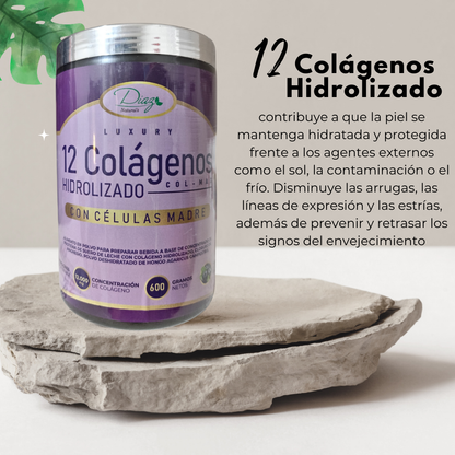 Colágeno Hidrolizado